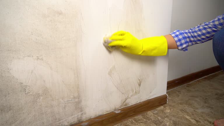 Best Mold Prevention Services  in Brewerton, NY